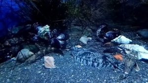 28.09.2023.Океанариум.Владивосток.