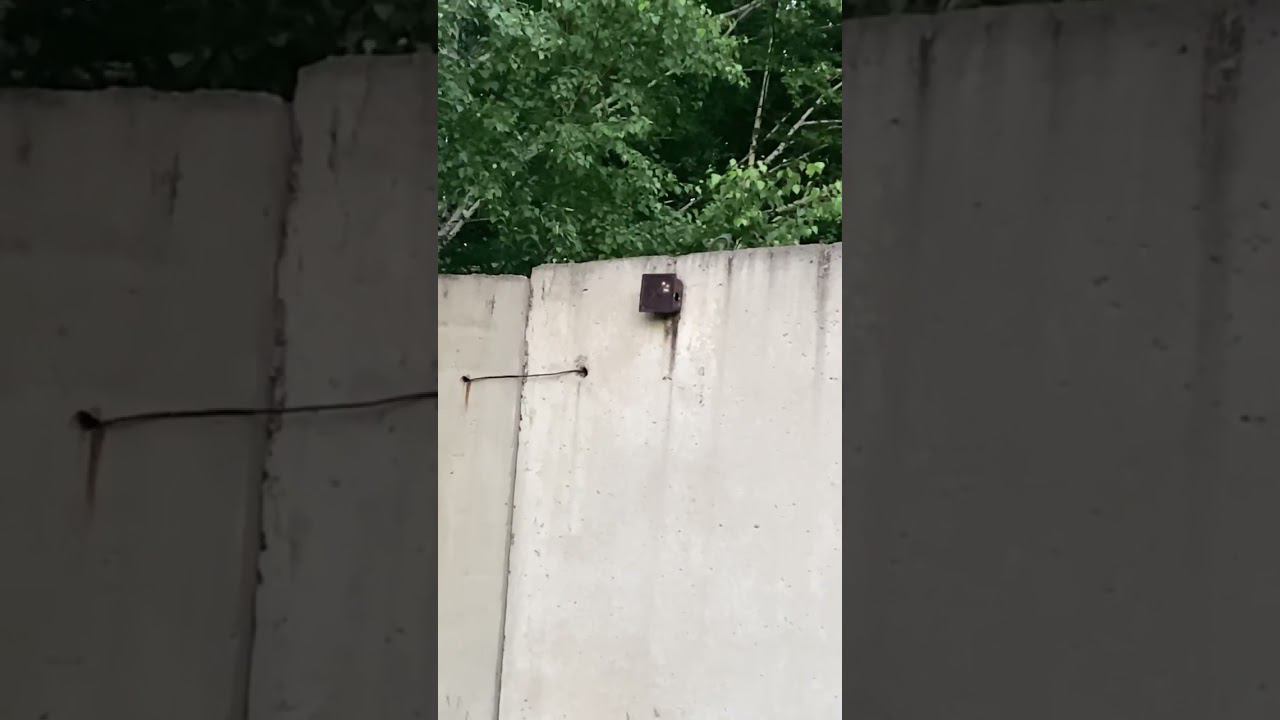 Что взял вместо лешего 2? смотреть онлайн