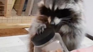 ЕНОТ ВИТЯ НА ЮТУБ КАНАЛЕ