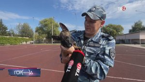 "Щенячий патруль" набирает новых рекрутов / Город новостей на ТВЦ