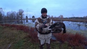 Охота на северную утку осенью | Не город TV