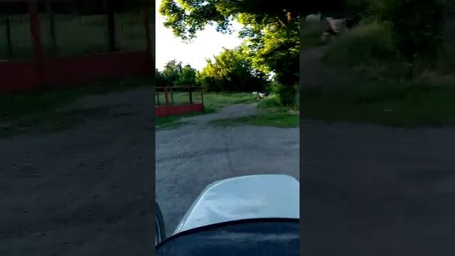 Покатушки на иж юпитер 4 смотреть онлайн