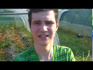 Моя дача 6 соток. Первые трудовые работы за 2 месяца.