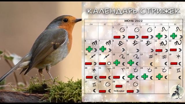Лунный календарь СТРИЖКИ волос на ИЮНЬ 2022. Благоприятные и неблагоприятные дни #календарьстрижек