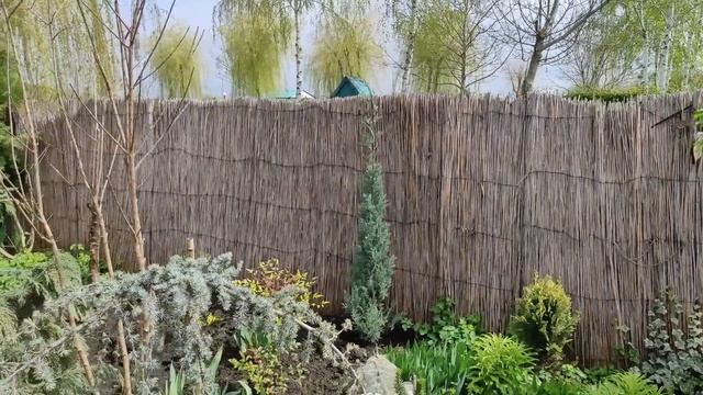 Весна в Южном саду 10 апреля! ЦВЕТУЩИЙ САД! ОБЗОР САДА С НАЗВАНИЯМИ РАСТЕНИЙ! смотреть онлайн