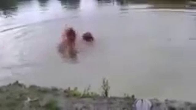 Еще есть вопросы почему собака лучший друг человека смотреть онлайн