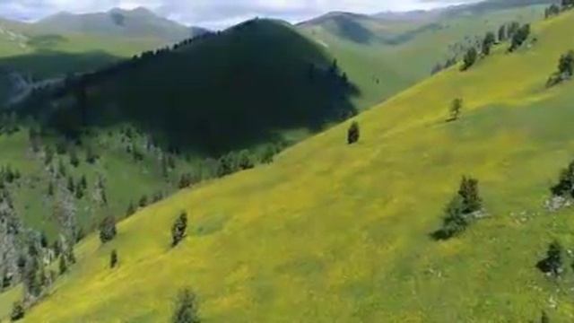 Шикарный сборник песен! смотреть онлайн