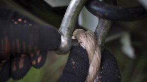 Как самостоятельно удалить деревья с участка автомобилем