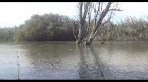 Рыбалка на Волге, раскаты