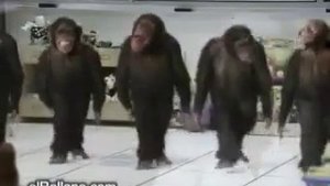 Блатные абезьяны