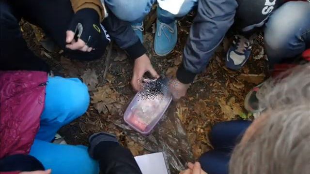 Школа "Азъ Буки Веди" Путешествие в Краснодарский край к лольменам смотреть онлайн