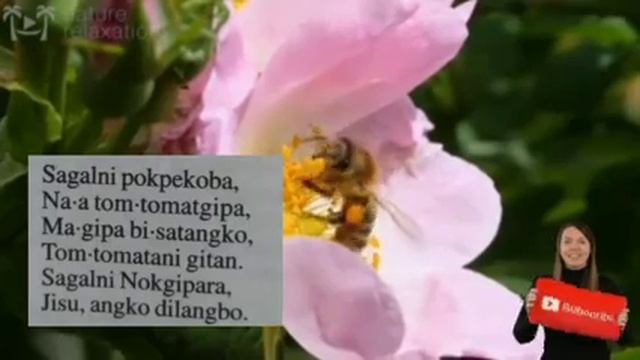 Gilja Git number 217#Achik ringani git number 217#Garo git#new video#gospel song#Christian song смотреть онлайн