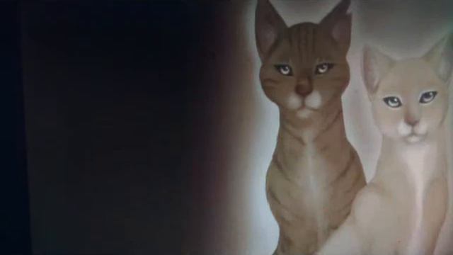 Коты-Воители-отпусти(пары 3.) смотреть онлайн