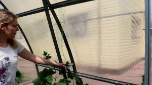 ФИКС ПРАЙС СЕТКА ДЛЯ ПОДВЯЗКИ ОГУРЦОВ ОГУРЦЫ В ТЕПЛИЦЕ