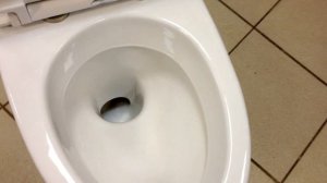 Унитаз-компакт напольный белый 28744 Rihard Knauff SKANDIK с сиденьем микролифт