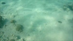 Labranda club . Makadi bay . Egypt . Египет . Макади бей Хургада . Отдых в Ноябре , Декабре . 2017