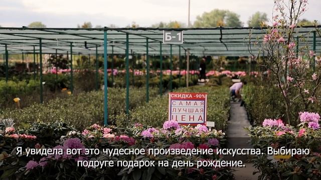 Черная Пятница в питомнике растений Экоплант