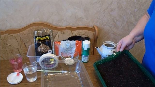 НЮАНСЫ ПОСЕВА ПЕРЦА НА РАССАДУ. ЧТО НЕОБХОДИМО ЗНАТЬ смотреть онлайн