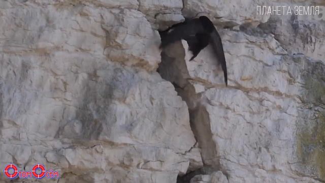 Где спят стрижи смотреть онлайн