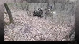 Тише летучей мыши