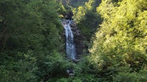 VID_20220717_100025.mp4