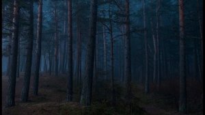 15 минут расслабляющей музыки для медитации и сна
