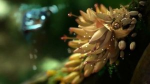 #ФУТАЖ  СКАЗОЧНЫЙ