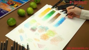 Графика цветными карандашами "Сочный лайм"