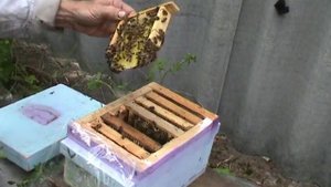 Расширяю микронуклеус вторым корпусом