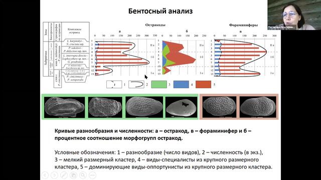 Тесакова Екатерина Михайловна - Микрофоссилии нижнего келловея Нижегородской области смотреть онлайн