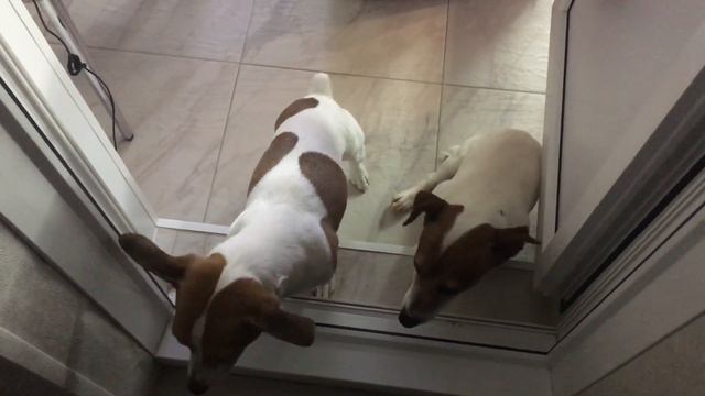 11 января 2021 г. смотреть онлайн