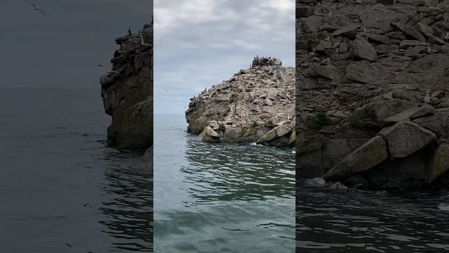 Seagull Island.  Lake Baikal.  Russia.