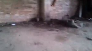 Заброшенная военная база