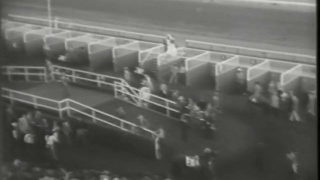 Tribute to Noor - 1950 Hollywood Gold Cup смотреть онлайн