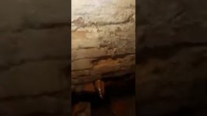 #2. Прокол канализации мини ГНБ установкой из колодца через приямок(колодец) в погреб 35 метров.