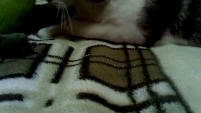 темоша смотреть онлайн