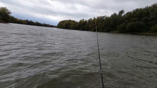 Рыбалка на р. Бузан. Октябрь 2022 г Судак, Бершик, щука. смотреть онлайн