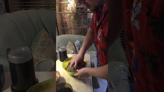 Полноценный, здоровый рацион для чижей