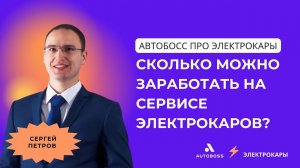 Сколько можно заработать на сервисе электрокаров? | АвтоБосс про электрокары