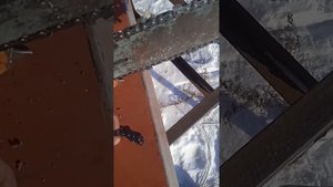 Цепь от харвестера на бензопилу Урал.