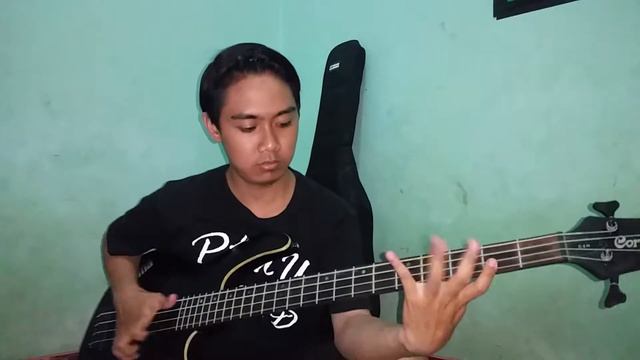 Slap bass cover with Cort C4h смотреть онлайн