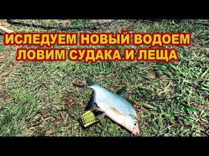 Ловим леща и судака // Судак 2024 /// Рыбалка на Кубани 2024 /// Выпуск № 39
