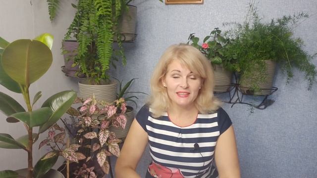 Самые неприхотливые растения для тенистого сада