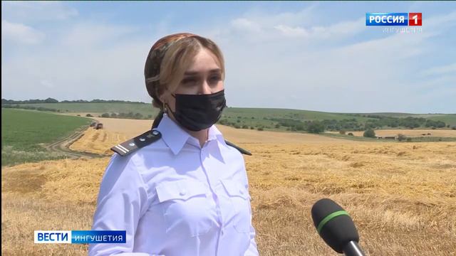 Мониторинг качества нового урожая смотреть онлайн