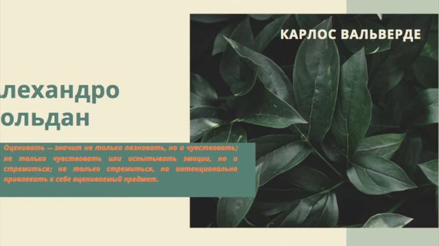Карлос Вальверде_Ценности