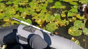 Ловим  мормышкой в отвес карасика 🎣