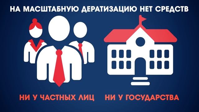 Что будет если ВСЕ КОШКИ ИСЧЕЗНУТ? смотреть онлайн