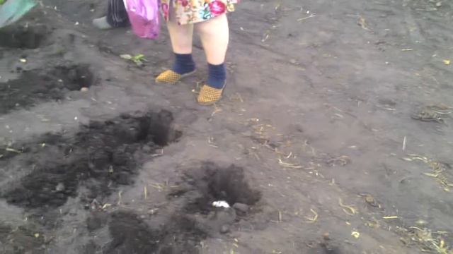 Выращиваем рыбу в огороде