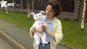 Мягкая игрушка заяц