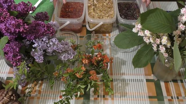 Сиропы из цветов, лечим себя сами, поддерживаем свой иммунитет . смотреть онлайн